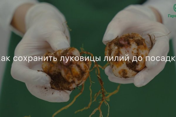 Кракен дарксайд