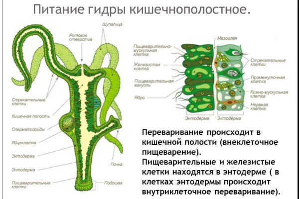 Кракен меф