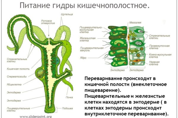 Какая ссылка на кракен