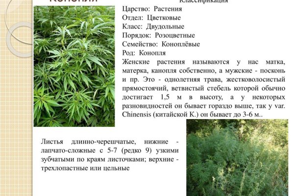 Вход на кракен зеркало