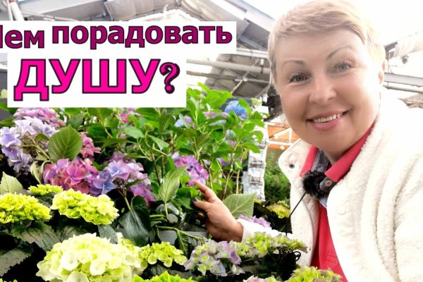 Кракен даркнет аккаунт