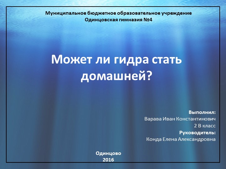Актуальное зеркало на кракен